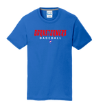 Barnstormer's Baseball Royal T-shirt PC150